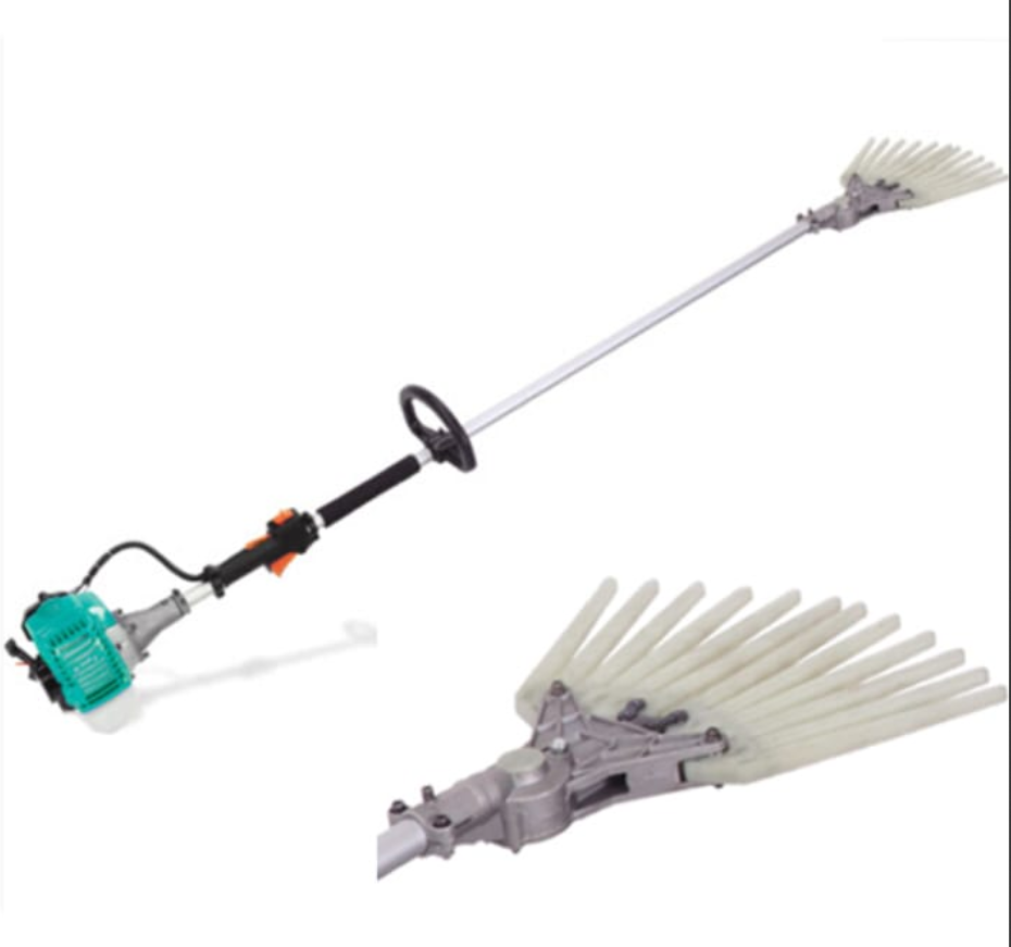 قطافة الزيتون بنزين